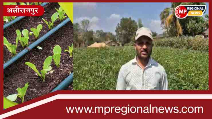 पारंपरिक सिंचाई पद्धति छोड़कर: ड्रिप योजना का लाभ लेकर अधिक उत्पादन प्राप्त किया पारंपरिक सिंचाई पद्धति छोड़कर: ड्रिप योजना का लाभ लेकर अधिक उत्पादन प्राप्त किया