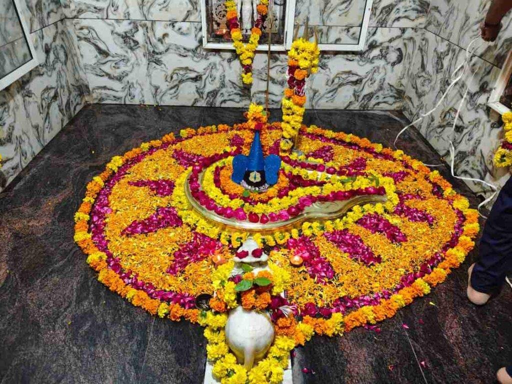 श्रावण के द्वितीय सोमवार पर शिवालयों में गूंजा हर-हर महादेव, शिव डोले ने किया नगर भ्रमण