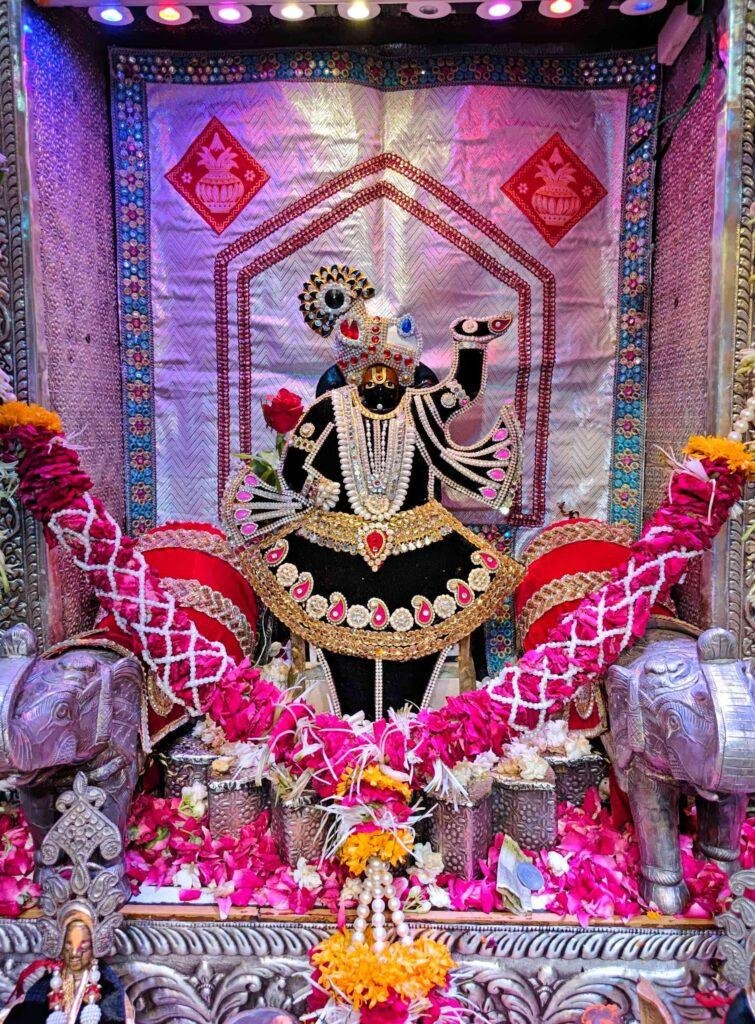 जलझूलनी एकादशी- डोल ग्यारस: ‘हाथी-घोड़ा पालकी... जय कन्हैया लाल की’ के उद्घोष से गूंजेगा चारभुजा धाम खट्टाली