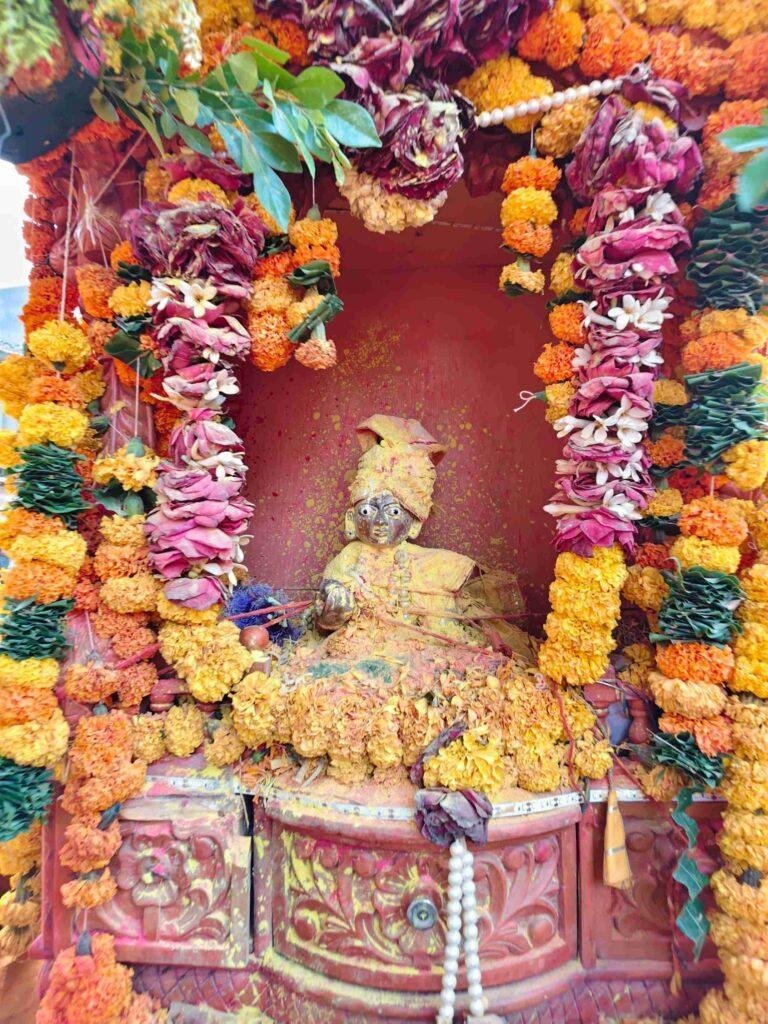 श्री चारभुजा नाथ के जयघोष से गूंजा बड़ी खट्टाली, भव्य चल समारोह में शामिल हुए श्रद्धालु