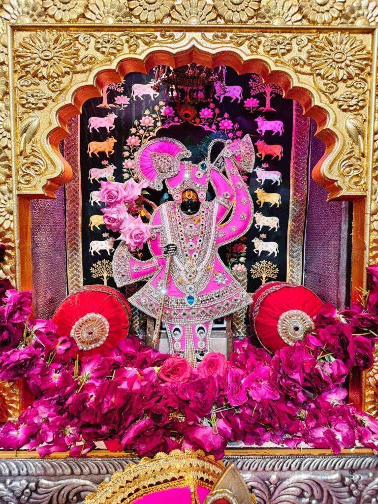 श्री चारभुजा नाथ के जयघोष से गूंजा बड़ी खट्टाली, भव्य चल समारोह में शामिल हुए श्रद्धालु